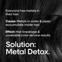 L'Oréal Professionel Metal Detox Hair Mask 250 Ml