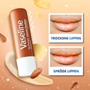 Vaseline Lip Care Cocoa Butter 4.8g