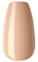Impress Color Nails Medium Coffin Shape 506 Latte