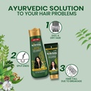 Kesh King Aloe & 21 Ayurvedic Herbs Anti Hair Fall Shampoo 200 Ml