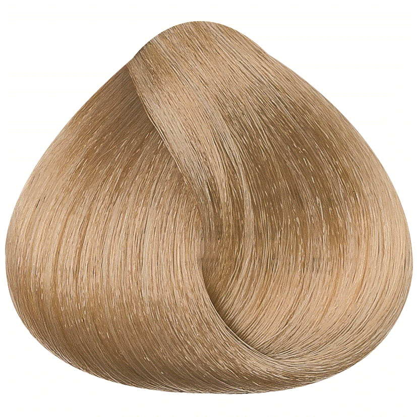 [11.00] BR Hair Color Cream 100 ml No.11.00