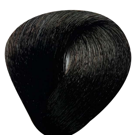 [2.0] BES The Future Of Hi Fi Hair Color No.2.0